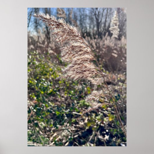 Autumn bliss.. ポスター (正面)