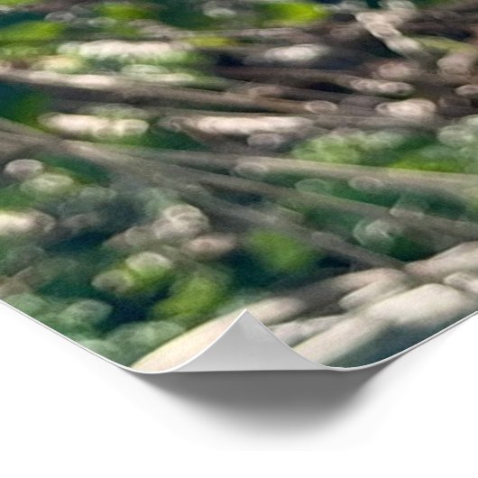 Autumn bliss.. ポスター (角)