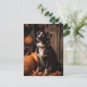 Autumn Border Collie and Pumpkins ポストカード (スタンド正面)