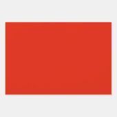 Autumn Bright Fallen Leaves Plaid ラッピングペーパーシート (正面3)