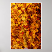 Autumn by Johannes Stötter ポスター (正面)