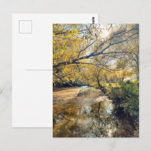 Autumn by the river ポストカード (正面/裏面)