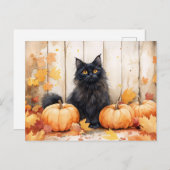 Autumn Cat and Pumpkins ポストカード (正面/裏面)