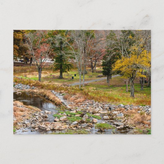 Autumn Colors in Reston Virginia ポストカード (正面)