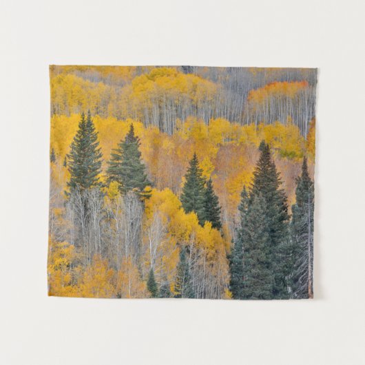 Autumn Colors on Aspen Groves タペストリー (正面(横))