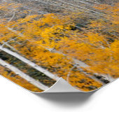 Autumn Colors on Aspen Groves ポスター (角)