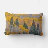 Autumn Colors on Aspen Groves ランバークッション (正面)