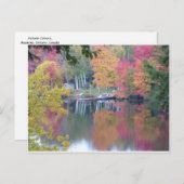 Autumn Coloured Leaves ポストカード (正面/裏面)