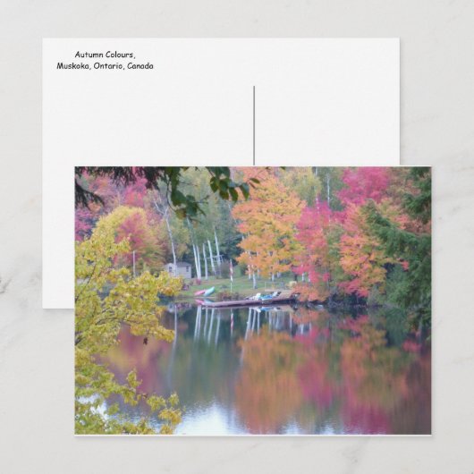 Autumn Coloured Leaves ポストカード (正面/裏面)