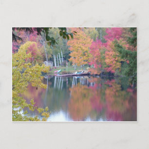 Autumn Coloured Leaves ポストカード