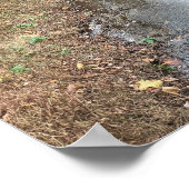 Autumn Creekフォトポスター ポスター (角)