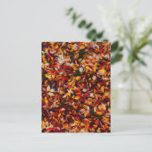 Autumn Fall Color Foliage Leaves  ポストカード (スタンド正面)