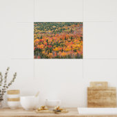 Autumn Foliage | Keweenaw Peninsula, Michigan ポスター (キッチン)