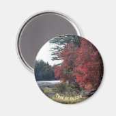 Autumn Foliage Pond Nature Photography  マグネット (正面/裏面)