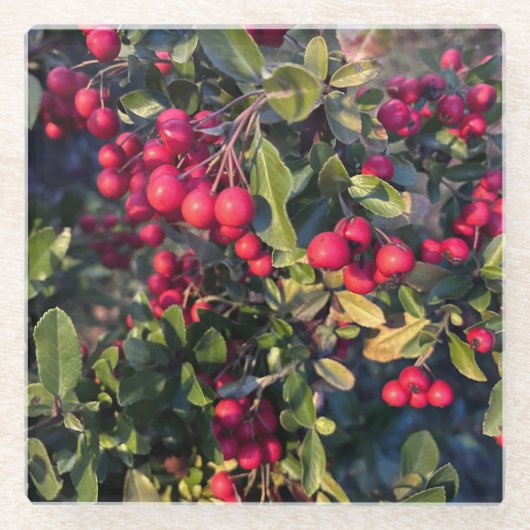 Autumn fruit ガラスコースター (正面)