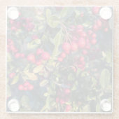 Autumn fruit ガラスコースター (裏面)