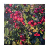 Autumn fruit タイル (正面)