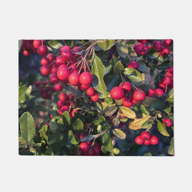 Autumn fruit ドアマット (正面)