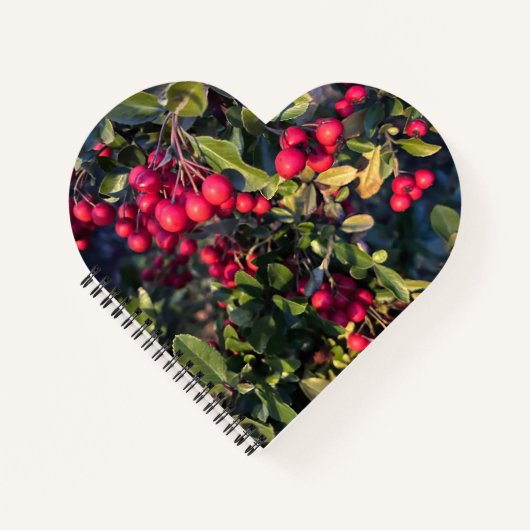 Autumn fruit ノートブック (正面)