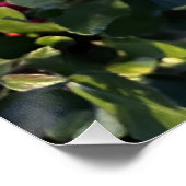 Autumn fruit ポスター (コーナー)