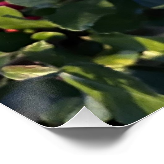 Autumn fruit ポスター (コーナー)