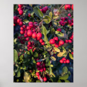 Autumn fruit ポスター (正面)