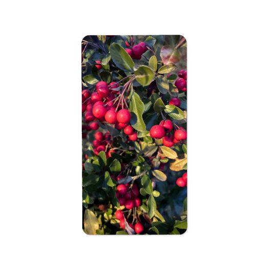 Autumn fruit ラベル (正面)