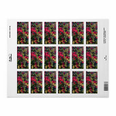 Autumn fruit ラベル (フルシート)