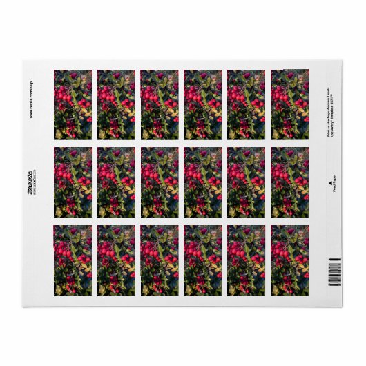 Autumn fruit ラベル (フルシート)