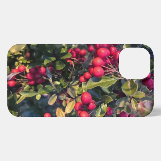 Autumn fruit iPhoneケース (裏面横)