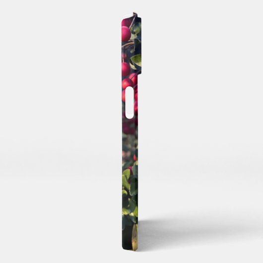 Autumn fruit iPhoneケース (右側面)