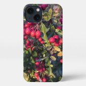 Autumn fruit iPhoneケース (裏面)