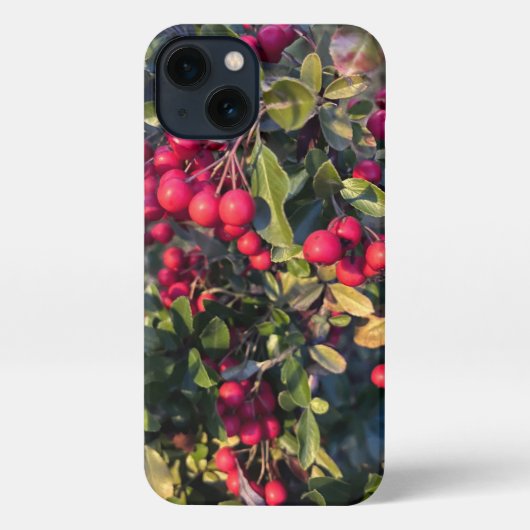 Autumn fruit iPhoneケース (裏面)