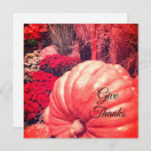 Autumn Harvest Card シーズンカード (正面/裏面)