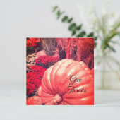 Autumn Harvest Card シーズンカード (スタンド正面)