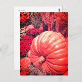 Autumn Harvest Postcard ポストカード (正面/裏面)