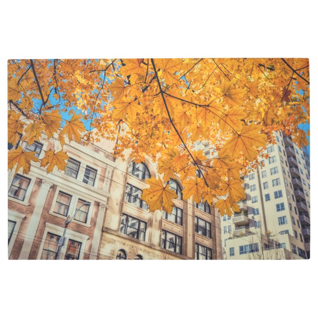 Autumn in City メタルプリント (正面)