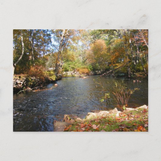 Autumn in New England 5 ～ポストカード ポストカード (正面)