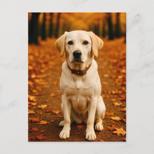 Autumn Labrador Postcard Golden Fall Forest Dog ポストカード (正面)