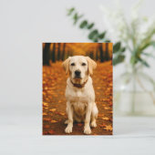 Autumn Labrador Postcard Golden Fall Forest Dog ポストカード (スタンド正面)