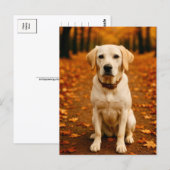 Autumn Labrador Postcard Golden Fall Forest Dog ポストカード (正面/裏面)