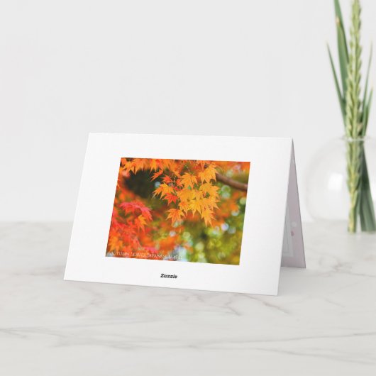 Autumn Leaves カード (裏面)