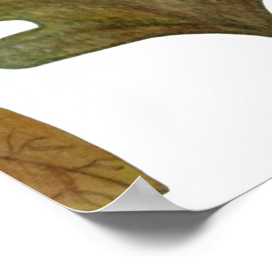 Autumn leaves ポスター (角)