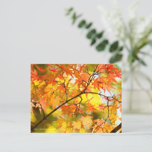 Autumn Leaves ポストカード (スタンド正面)