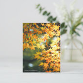 Autumn Leaves ポストカード (スタンド正面)