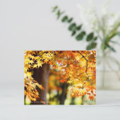 Autumn Leaves ポストカード (スタンド正面)