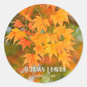 Autumn Leaves ラウンドシール (正面)