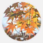 Autumn Leaves ラウンドシール (正面)