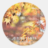 Autumn Leaves ラウンドシール (正面)