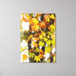 Autumn Leaves [Canvas Print] キャンバスプリント